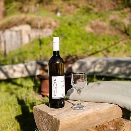 Pod Vysokou 度假居